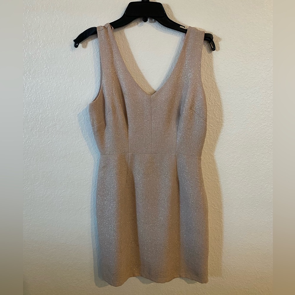 Forever 21, Sparkly Short Sleeve Dress